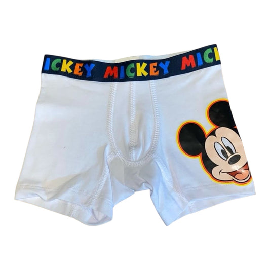 BOXER MICKEY TALLA 4